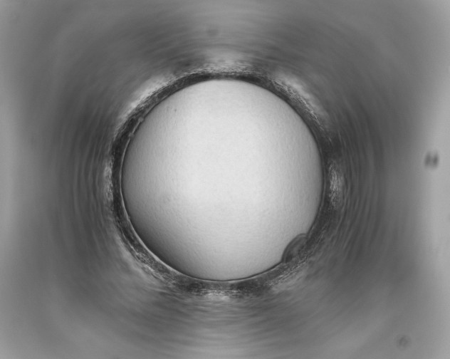 X0000093510684200710261158