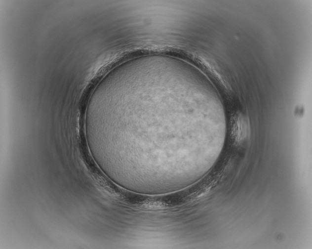 X0000093510685200710261158