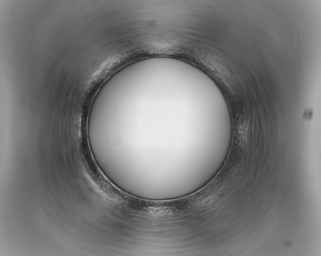 X0000093510686200710261158