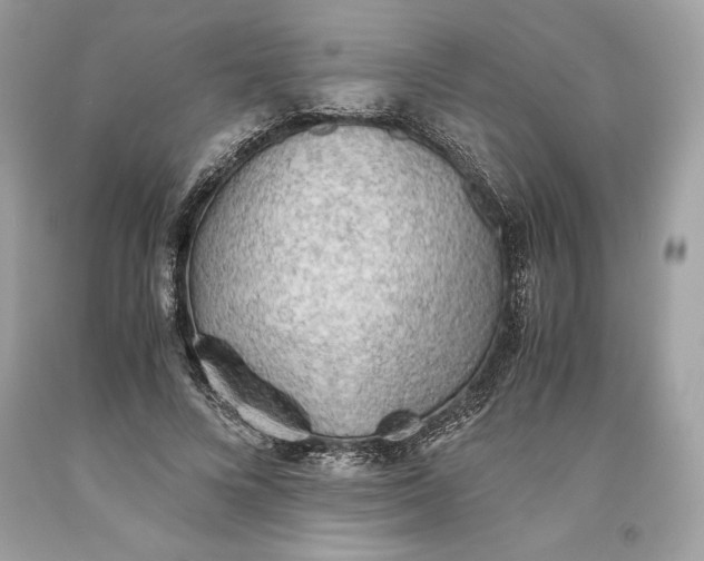 X0000093510688200710261158