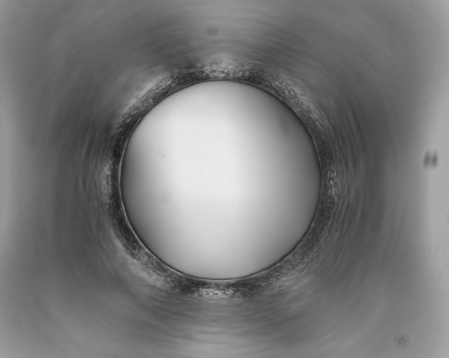 X0000093510690200710261158