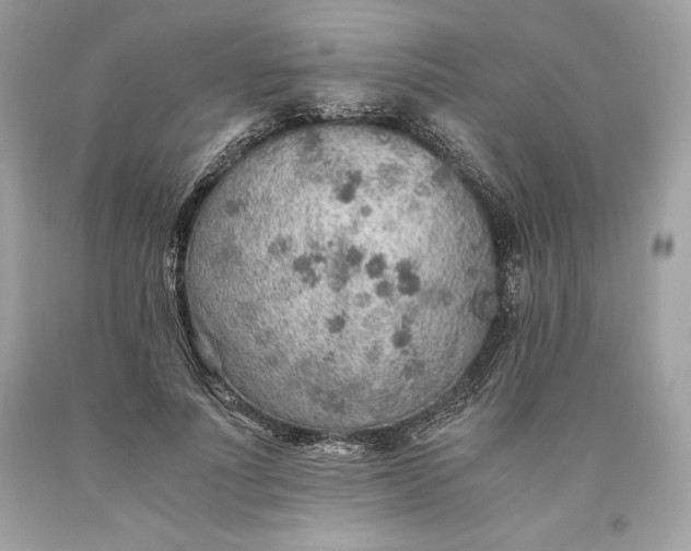 X0000093510691200710261158