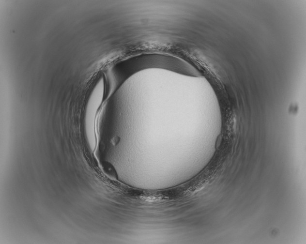 X0000093510693200710261157