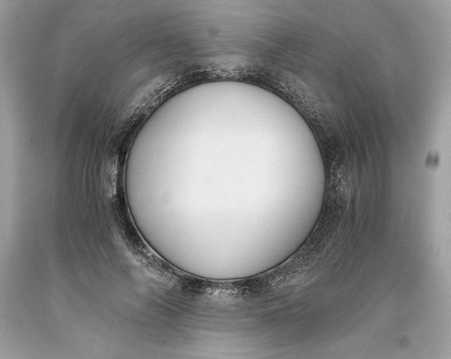 X0000093510694200710261157