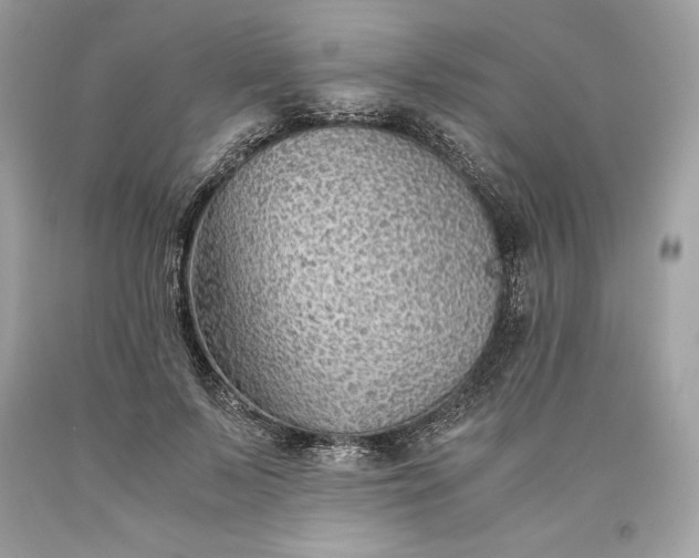 X0000093510695200710261157