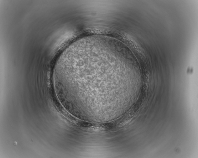 X0000093510696200710261157