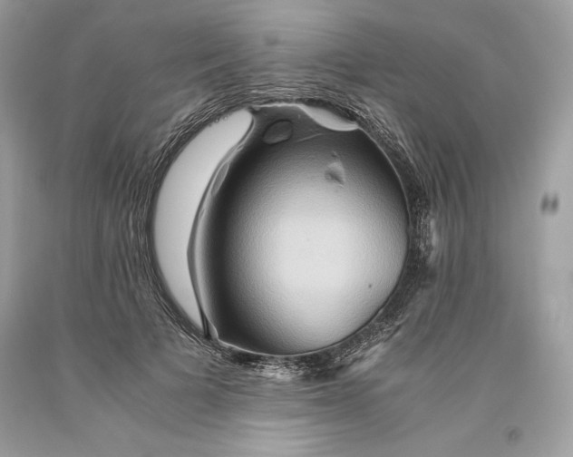 X0000093510697200710261157