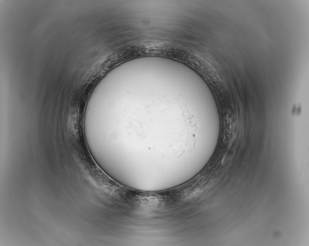 X0000093510698200710261157