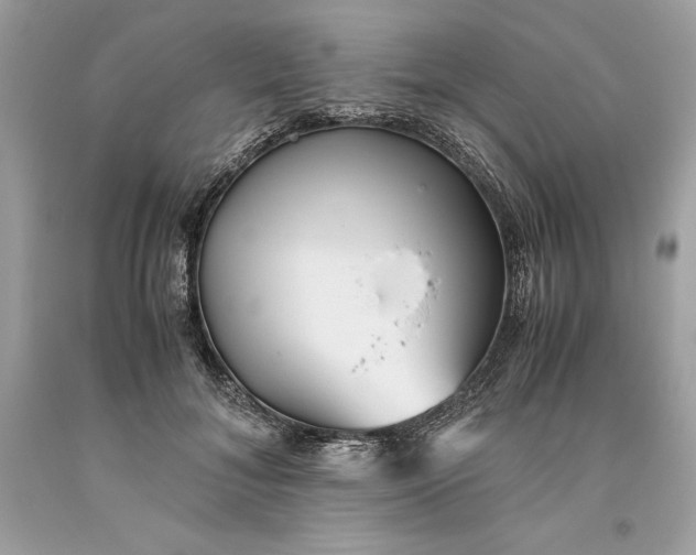 X0000093510700200710261157