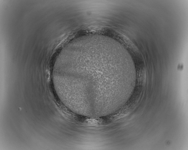 X0000093510703200710261157