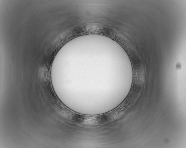 X0000093510705200710261157