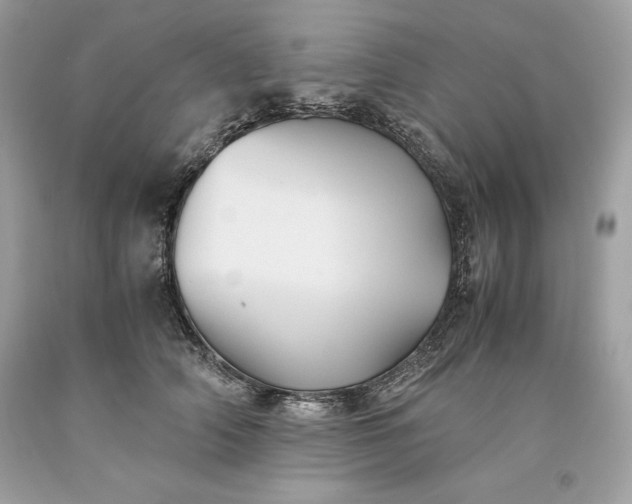 X0000093510706200710261157