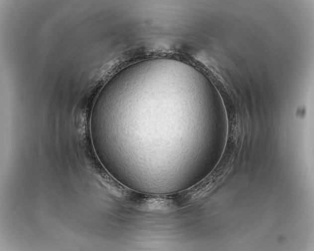 X0000093510708200710261157