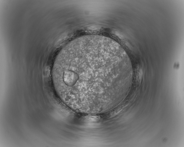 X0000093510711200710261157