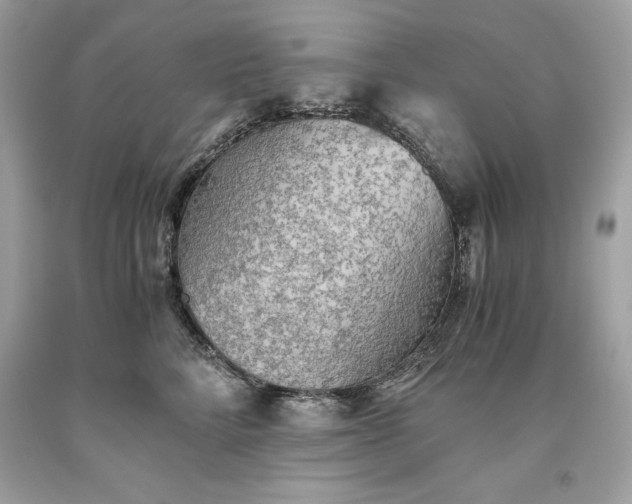 X0000093510712200710261157