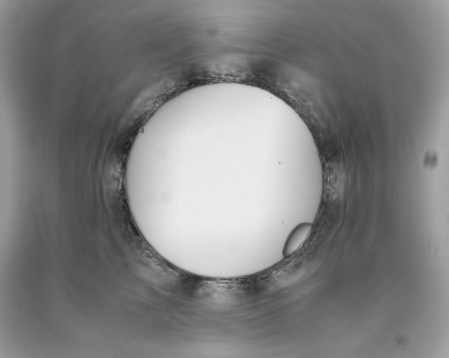 X0000093510713200710261157