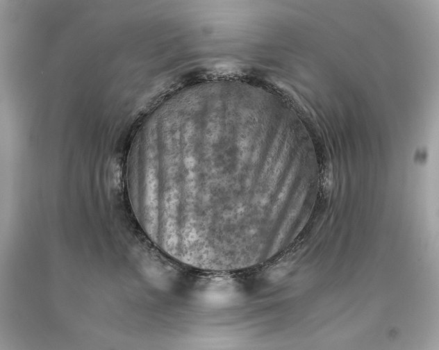 X0000093510715200710261157