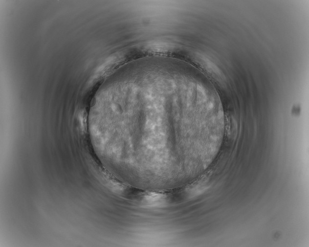 X0000093510718200710261157