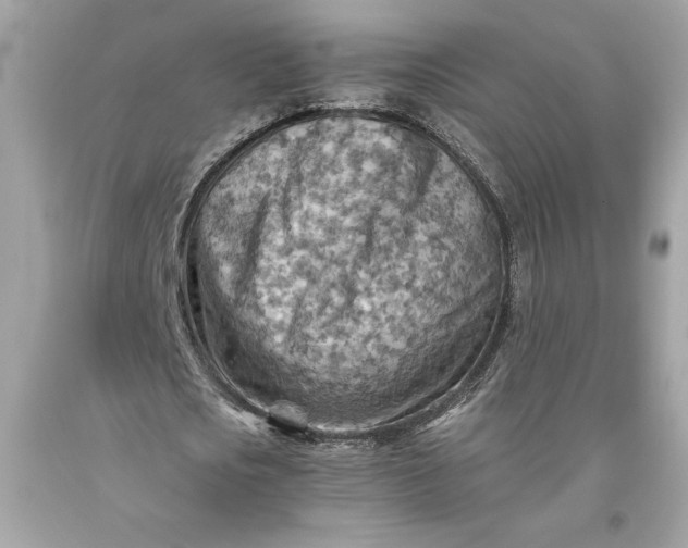 X0000093510721200710261156