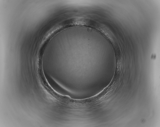 X0000093510722200710261156