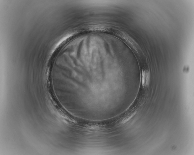 X0000093510723200710261156