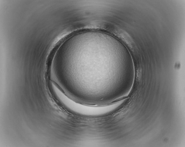 X0000093510724200710261156