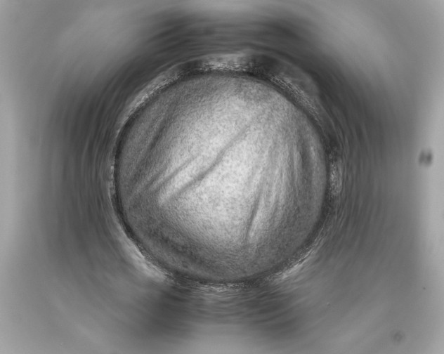 X0000093510725200710261156