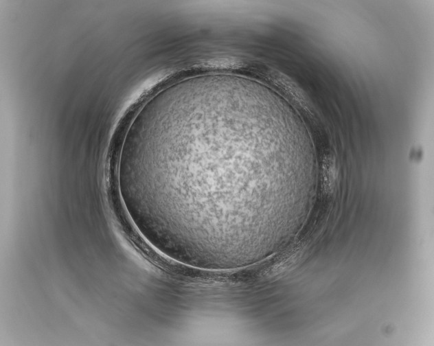 X0000093510726200710261157