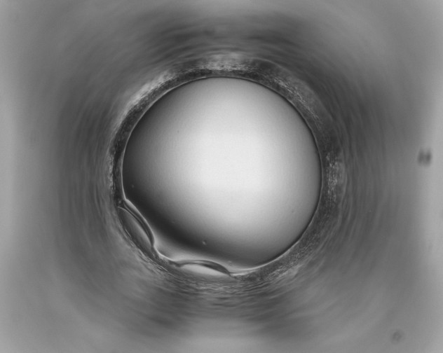 X0000093510727200710261157