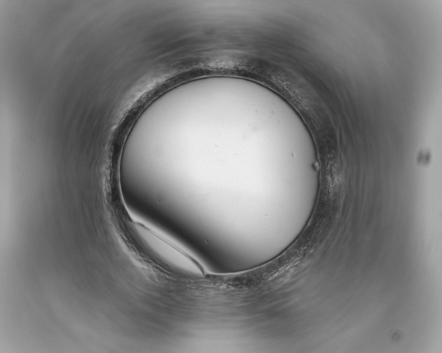 X0000093510728200710261157