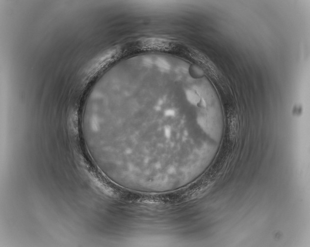 X0000093510729200710261157