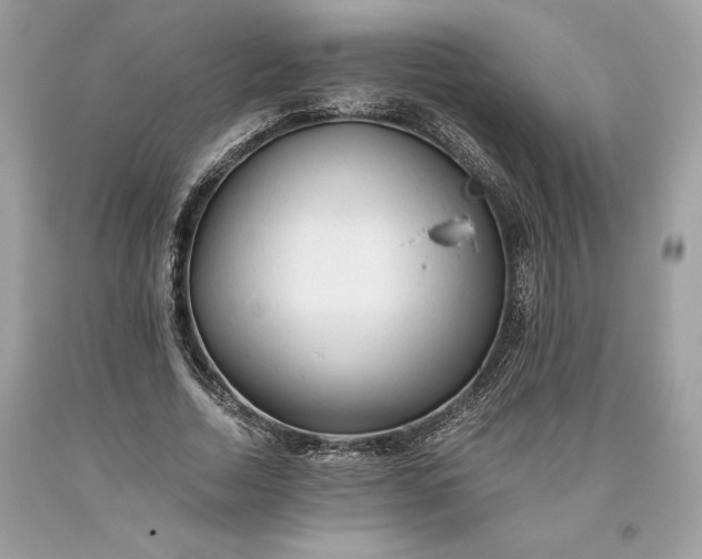 X0000093510730200710261157