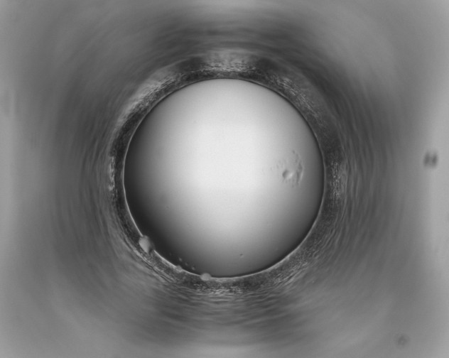 X0000093510731200710261157