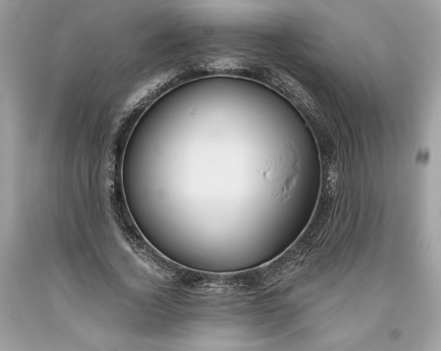 X0000093510732200710261157