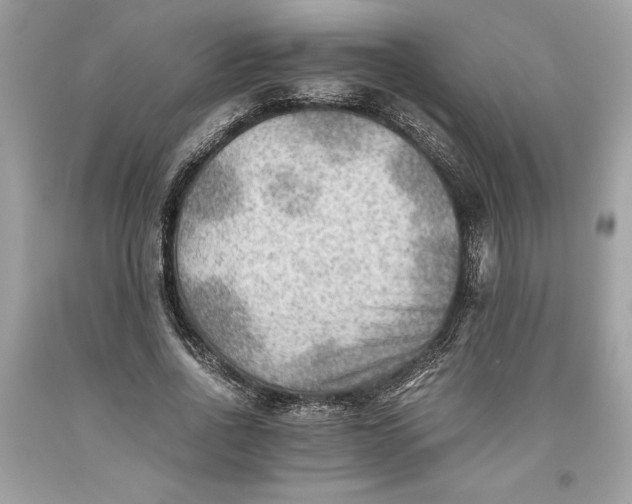 X0000093510734200710261157