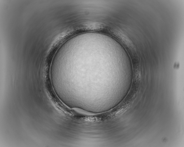 X0000093510736200710261157