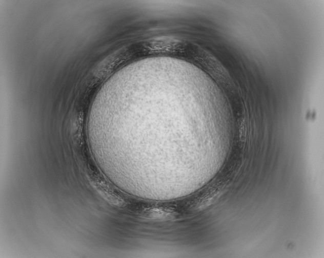 X0000093510737200710261157