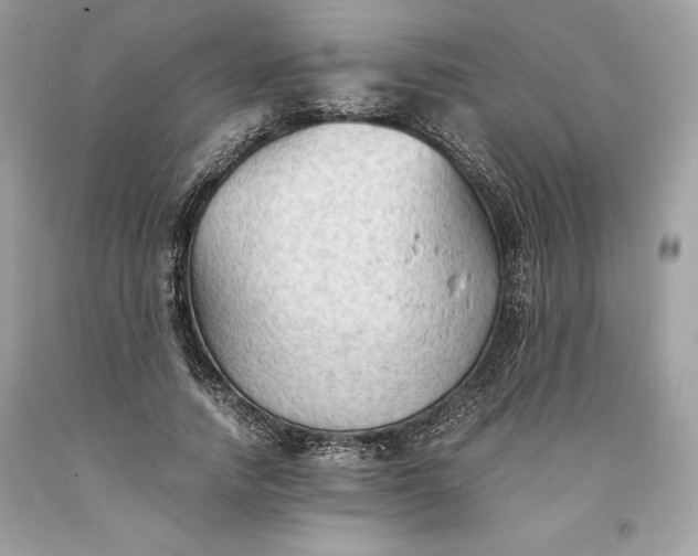 X0000093510738200710261157