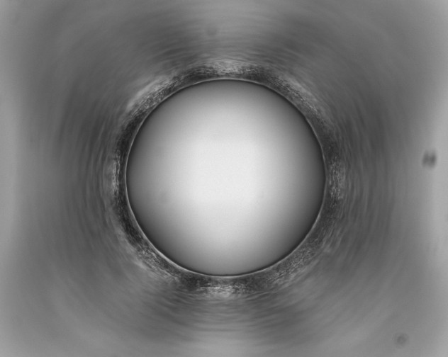 X0000093510740200710261157