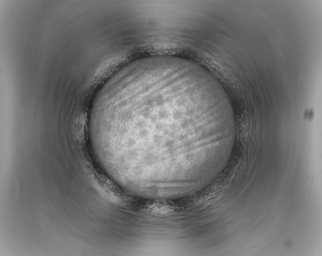 X0000093510742200710261157