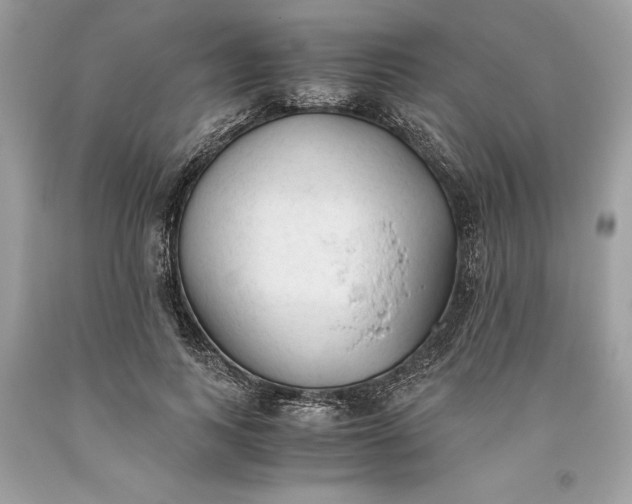 X0000093510743200710261157