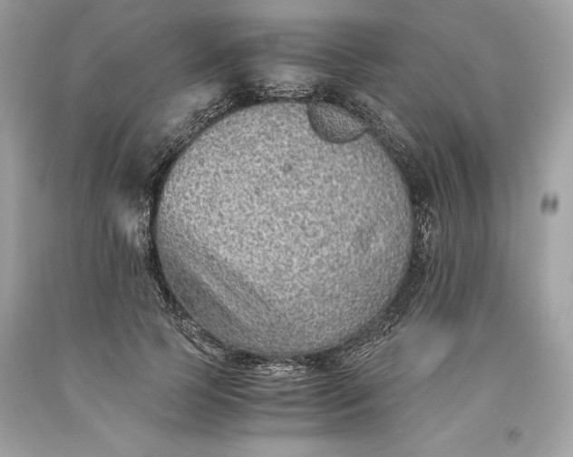 X0000093510745200710261157