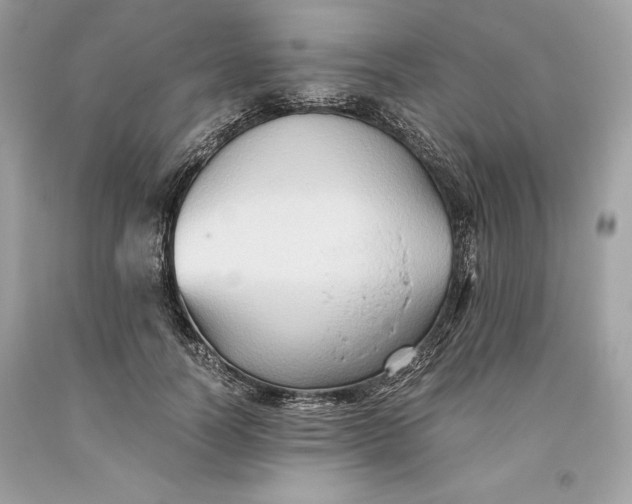 X0000093510746200710261157