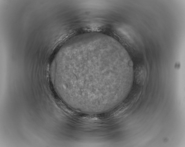 X0000093510747200710261157