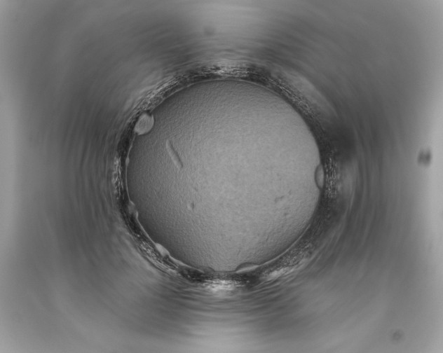 X0000093510748200710261157