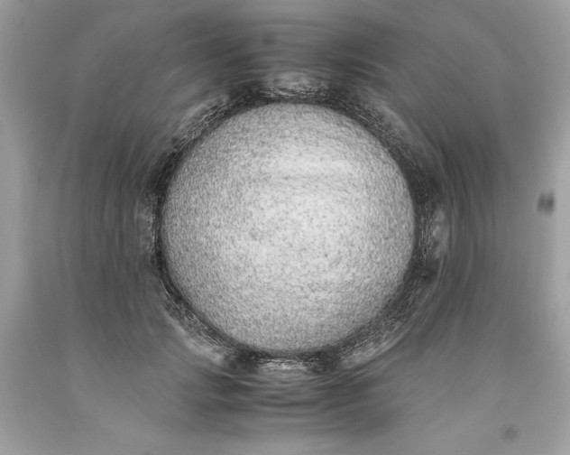 X0000093510749200710261157