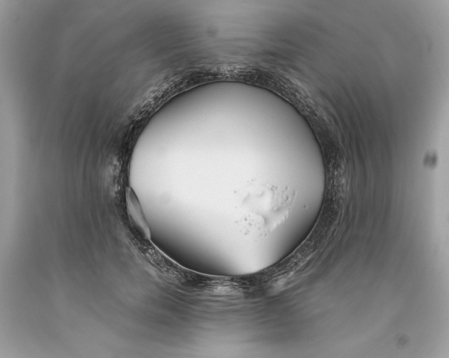 X0000093510750200710261157