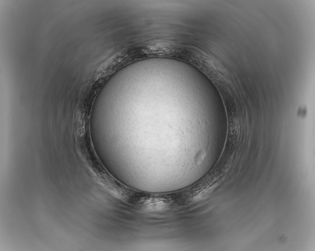 X0000093510751200710261157