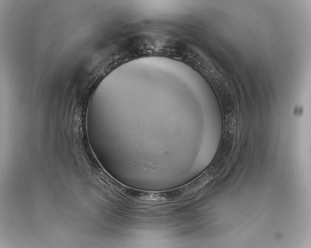 X0000093510754200710261157