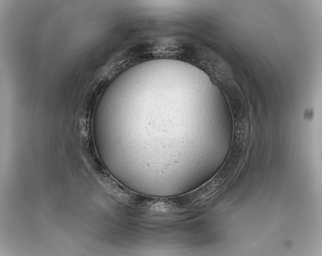 X0000093510755200710261157